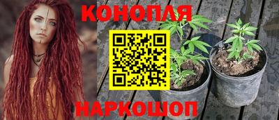 стаф Коммунар