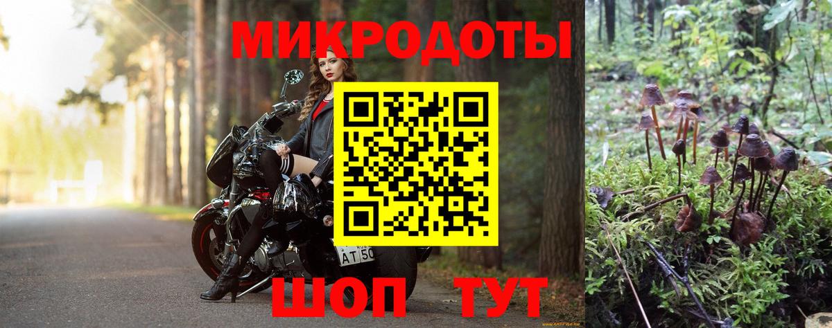 Псилоцибиновые грибы ЛСД Елец