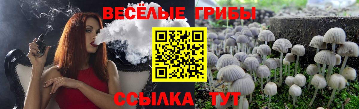 Псилоцибиновые грибы MAGIC MUSHROOMS  Галлюциногенные грибы ЛСД  Елец  Вход с VPN 